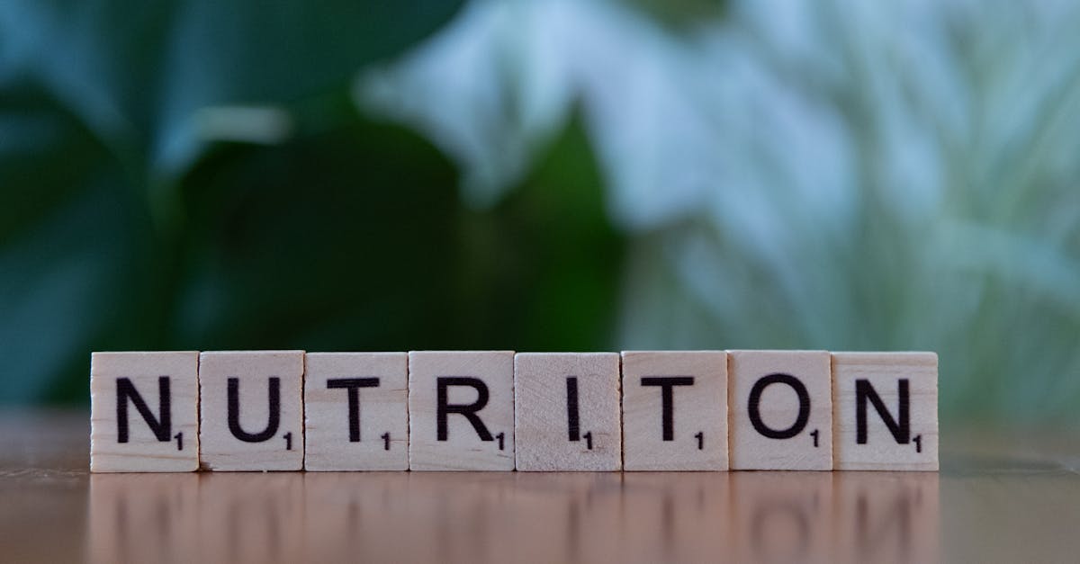 découvrez nos conseils et produits d'endurance nutrition pour optimiser votre performance sportive et maintenir une énergie durable pendant vos entraînements.