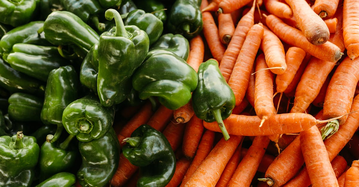 découvrez des conseils et informations essentiels sur la nutrition pour améliorer votre santé et votre bien-être au quotidien.