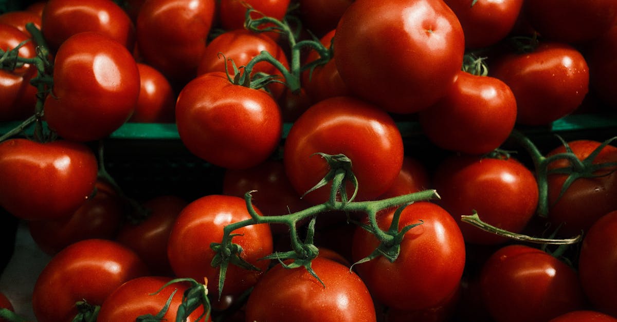 découvrez des conseils essentiels et des informations fiables sur la nutrition pour adopter une alimentation saine et équilibrée au quotidien.