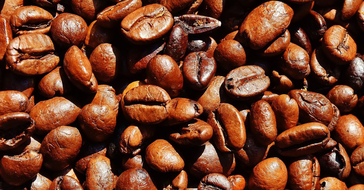 découvrez tout sur la caféine, son effet stimulant, ses bienfaits, ses risques et comment l'intégrer dans votre quotidien pour optimiser votre énergie.