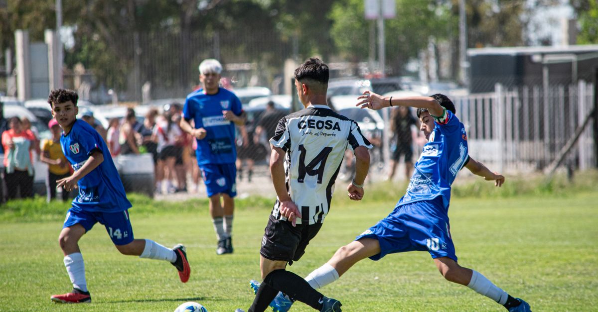 découvrez les différences nutritionnelles essentielles entre les sports d'équipe et les sports individuels pour optimiser vos performances et votre récupération.