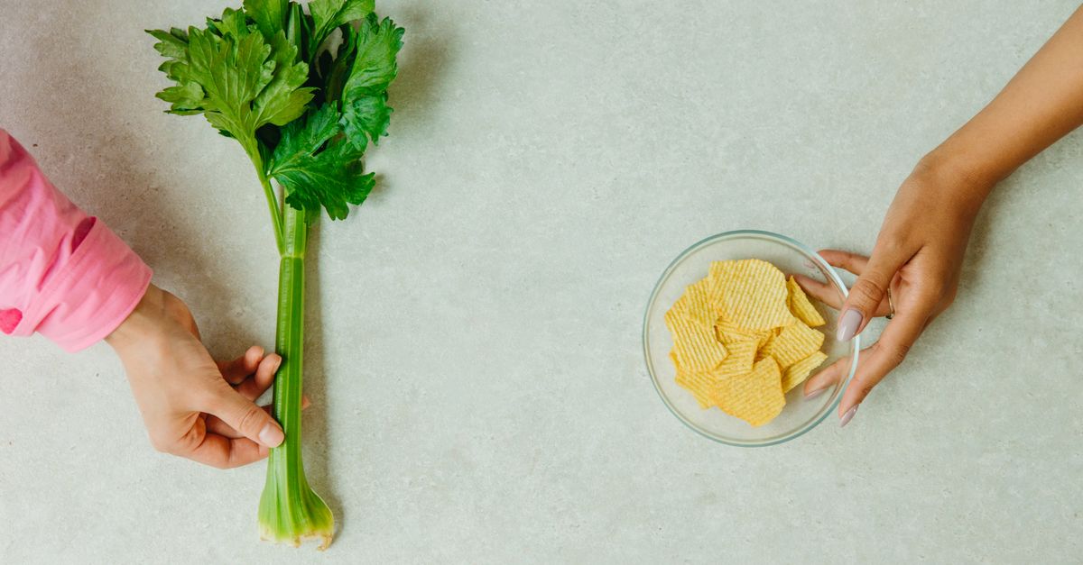 découvrez des stratégies nutritionnelles efficaces pour améliorer votre santé, optimiser vos performances et équilibrer votre alimentation au quotidien.