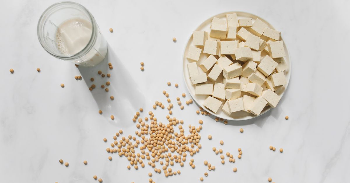 découvrez les différentes sources de protéines essentielles pour une alimentation équilibrée, incluant végétales et animales, pour soutenir votre santé et votre énergie au quotidien.
