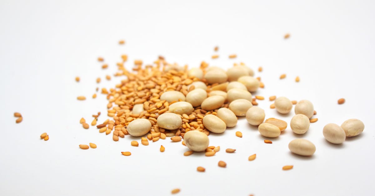 découvrez les meilleures sources de protéines pour une alimentation équilibrée, incluant des options végétales et animales adaptées à tous les régimes.
