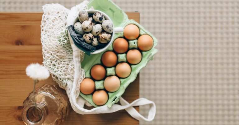 découvrez les meilleures sources de protéines pour une alimentation équilibrée et un mode de vie sain, incluant options végétales et animales.