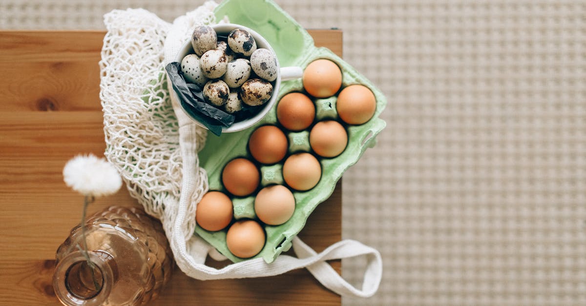 découvrez les meilleures sources de protéines pour une alimentation équilibrée et un mode de vie sain, incluant options végétales et animales.