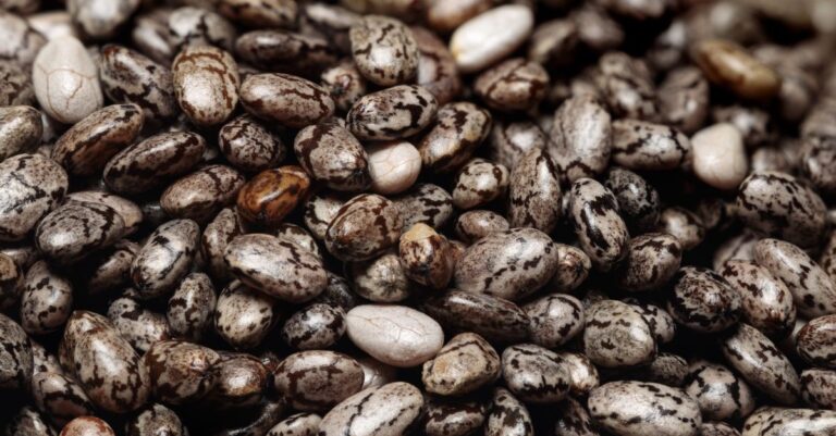 découvrez les superfoods, ces aliments riches en nutriments essentiels qui boostent votre énergie et améliorent votre santé au quotidien.