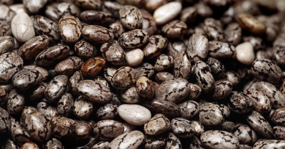 découvrez les superfoods, ces aliments riches en nutriments essentiels qui boostent votre énergie et améliorent votre santé au quotidien.