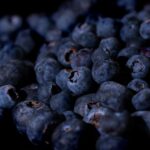 découvrez les aliments riches en antioxydants pour protéger votre corps, renforcer votre santé et ralentir le vieillissement grâce à une alimentation saine et équilibrée.