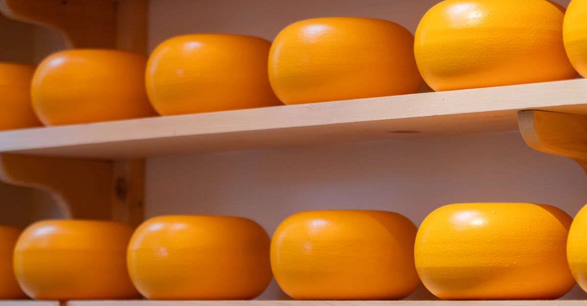 découvrez l'importance du calcium pour la santé des os, des dents et du fonctionnement musculaire. apprenez comment l'intégrer efficacement dans votre alimentation quotidienne.