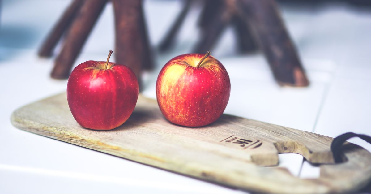 découvrez des conseils et astuces essentiels pour une nutrition équilibrée et un mode de vie sain. améliorez votre bien-être grâce à une alimentation adaptée à vos besoins.