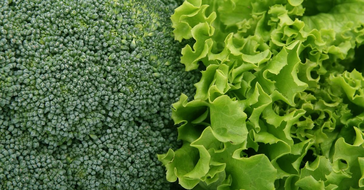 découvrez les différences nutritionnelles essentielles pour mieux comprendre l'impact des aliments sur votre santé et adapter votre alimentation.