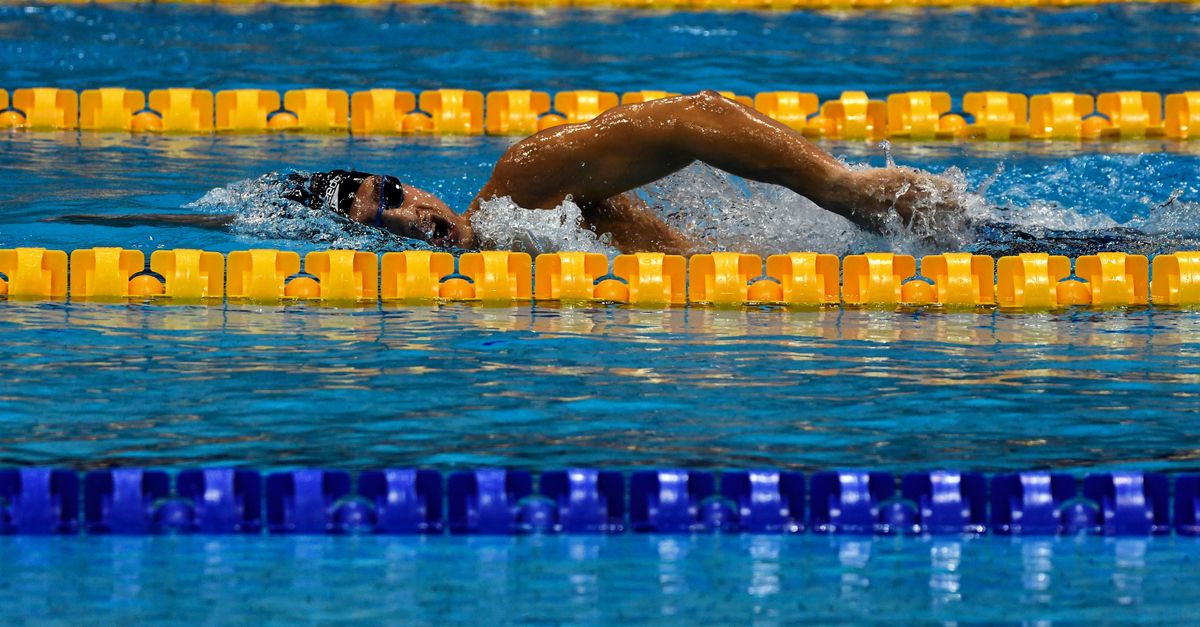 découvrez les rituels alimentaires des athlètes olympiques en 2026 pour optimiser leurs performances et atteindre l'excellence sportive.