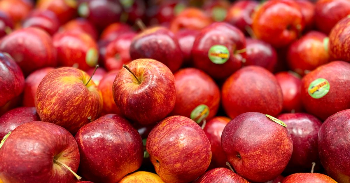 découvrez des conseils et informations essentielles sur la nutrition pour adopter une alimentation équilibrée et favoriser votre bien-être au quotidien.
