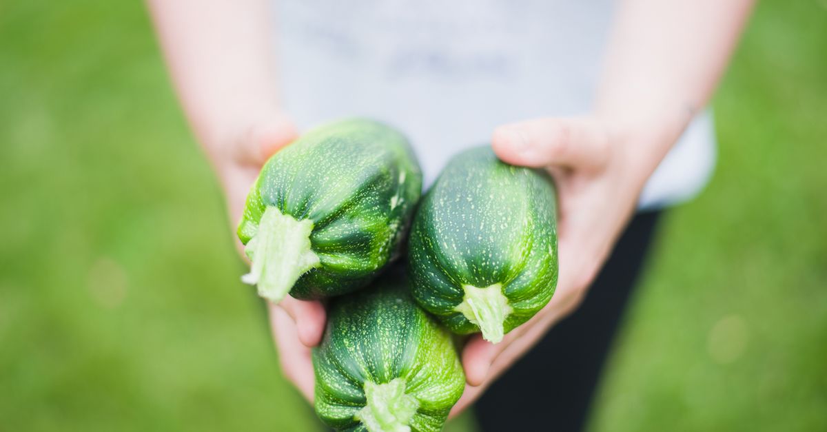 découvrez des conseils et informations essentiels sur la nutrition pour adopter une alimentation équilibrée et saine au quotidien.
