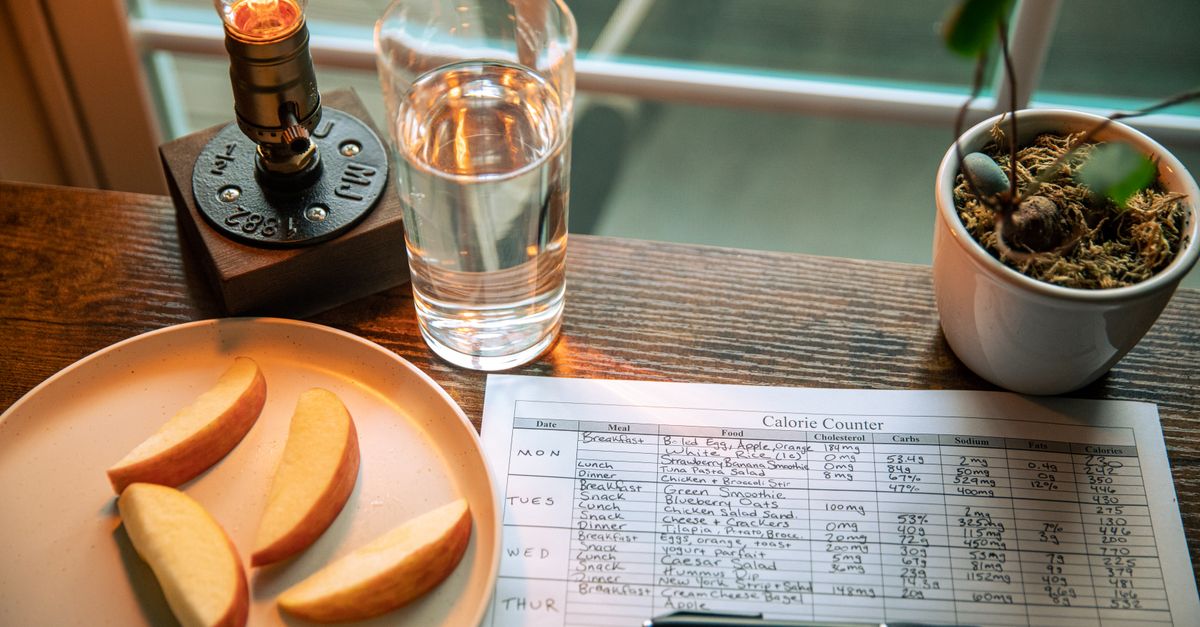 découvrez les meilleurs outils de suivi nutritionnel pour gérer facilement votre alimentation, surveiller vos apports et atteindre vos objectifs santé.