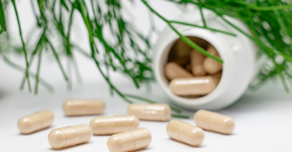 découvrez les bienfaits des probiotiques pour votre santé intestinale et votre bien-être général. améliorez votre digestion et renforcez votre système immunitaire avec nos conseils et produits naturels.