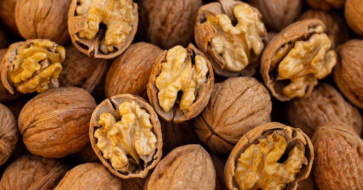 découvrez les bienfaits des graines et des noix dans la nutrition sportive pour améliorer l'énergie, la récupération et la performance physique.